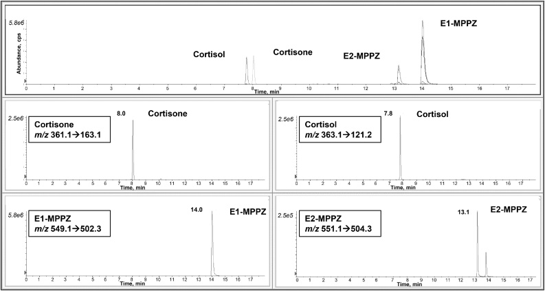 Fig. 3