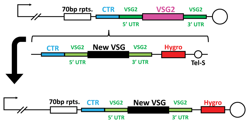 Extended Data Fig. 6