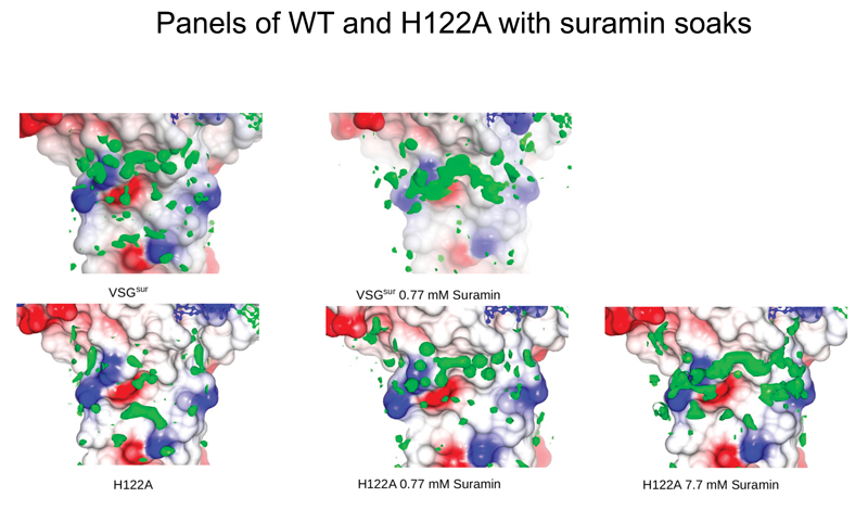 Extended Data Fig. 7