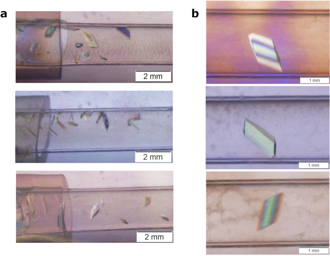 Fig. 3