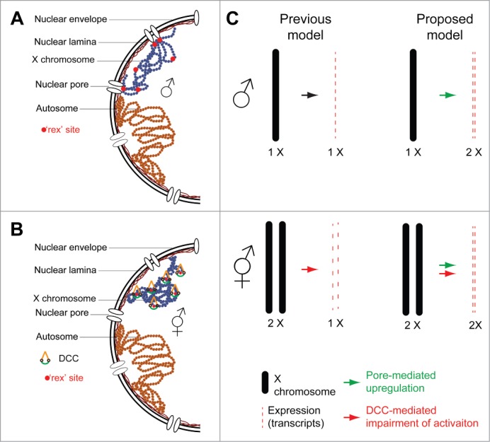 Figure 2.