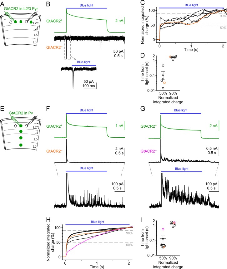 Figure 1—figure supplement 3.