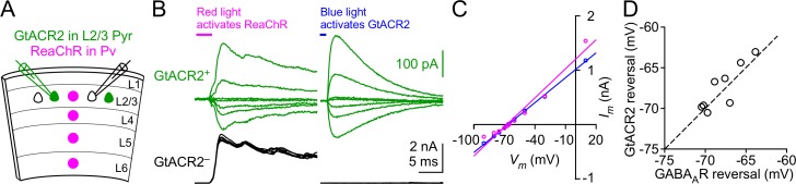 Figure 2—figure supplement 1.