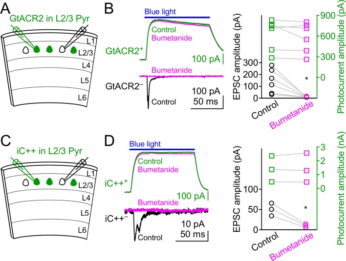 Figure 2—figure supplement 3.