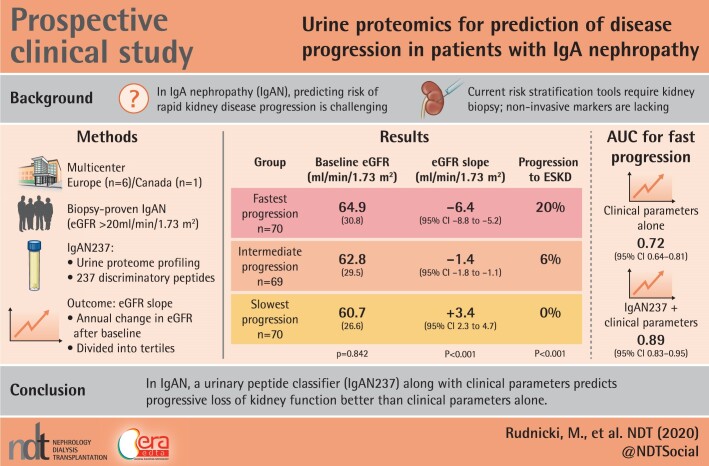 Graphical Abstract