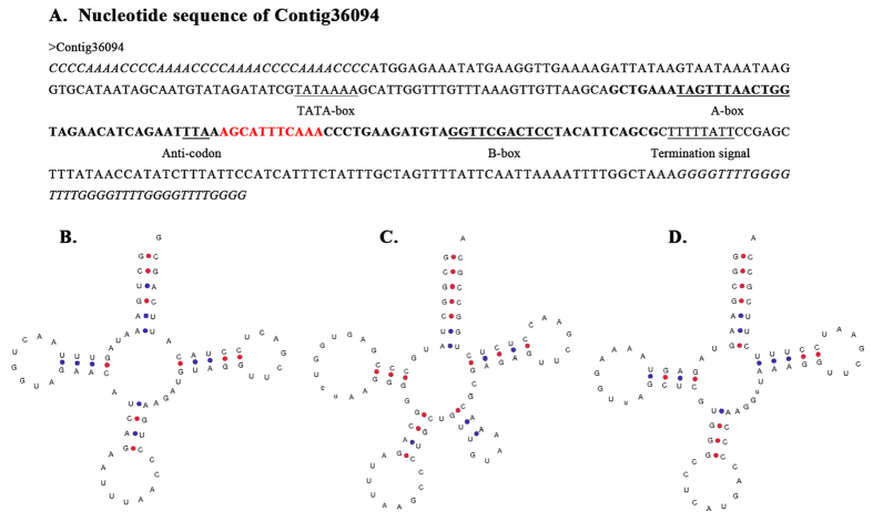 Figure 6