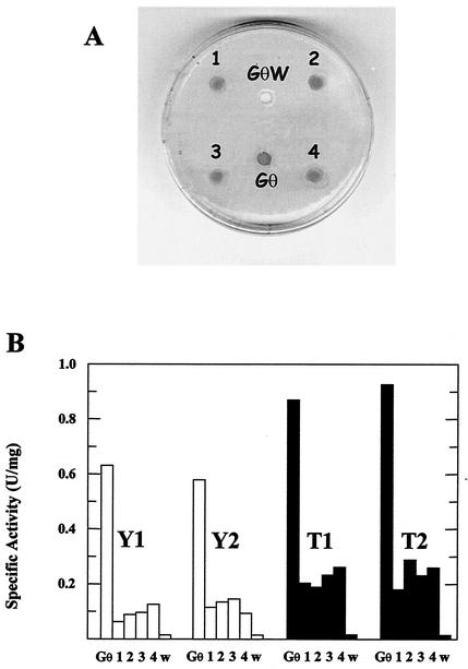 FIG. 7.