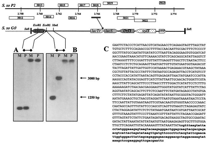 FIG. 4.