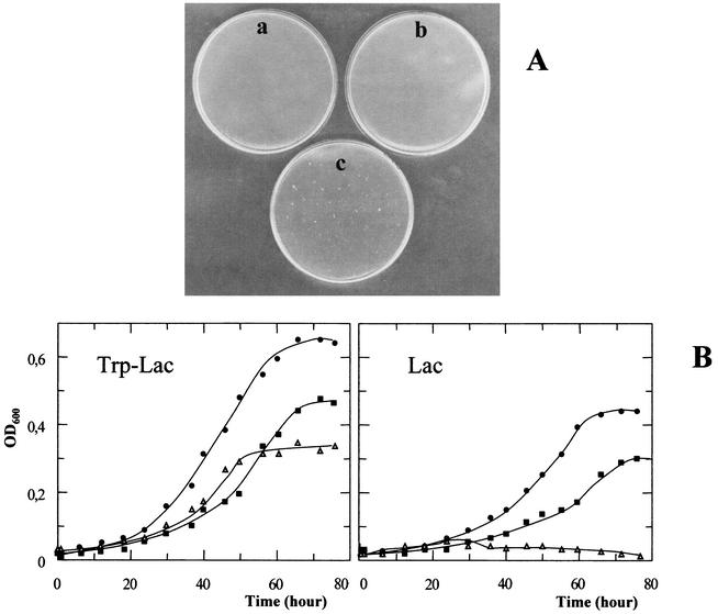 FIG. 6.