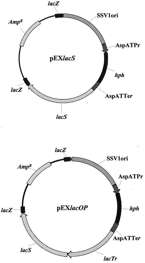 FIG. 5.