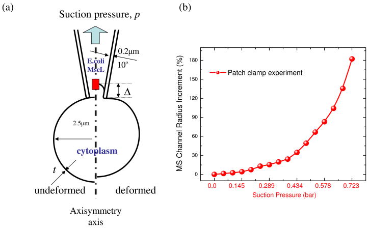 Fig. 9