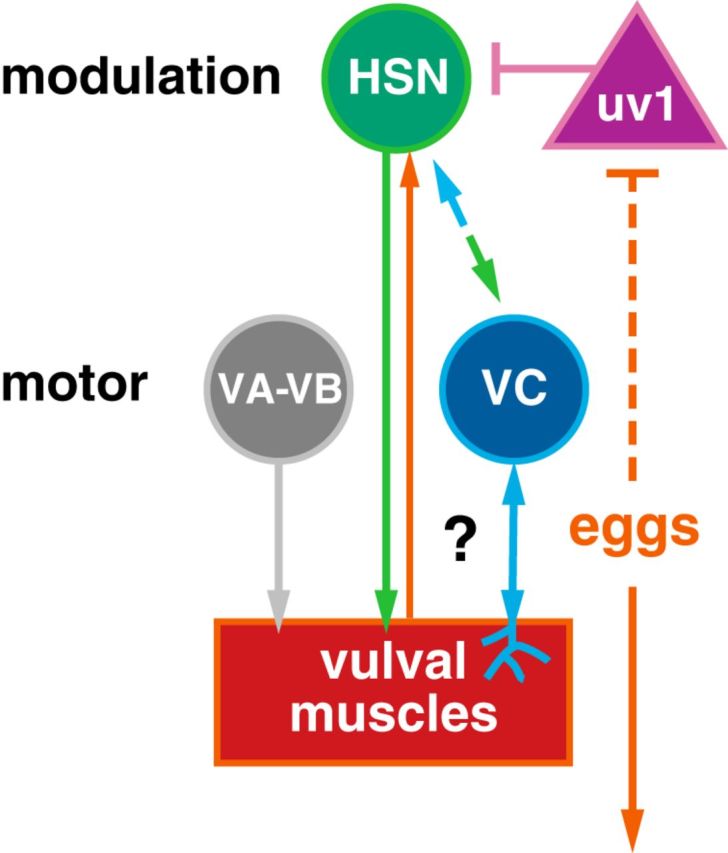 Figure 10.