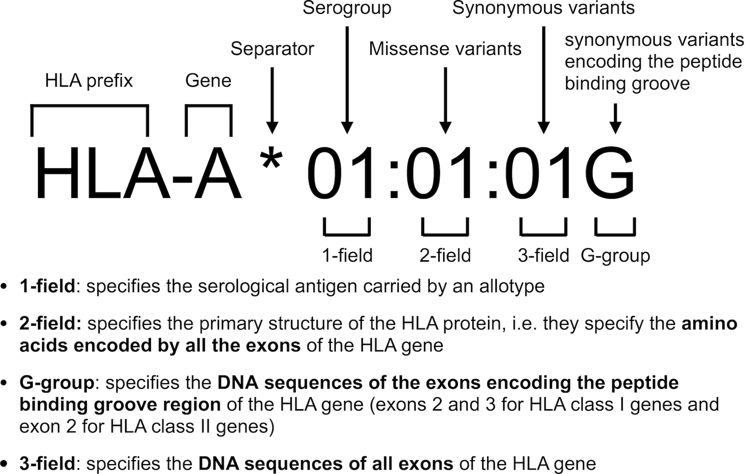 Extended Data Fig. 1