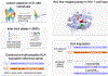 Figure 1 |