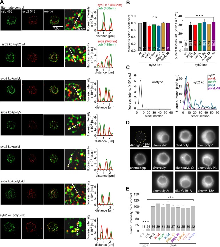 Figure 1—figure supplement 3.