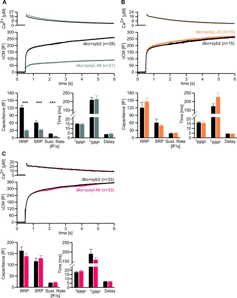 Figure 5—figure supplement 1.