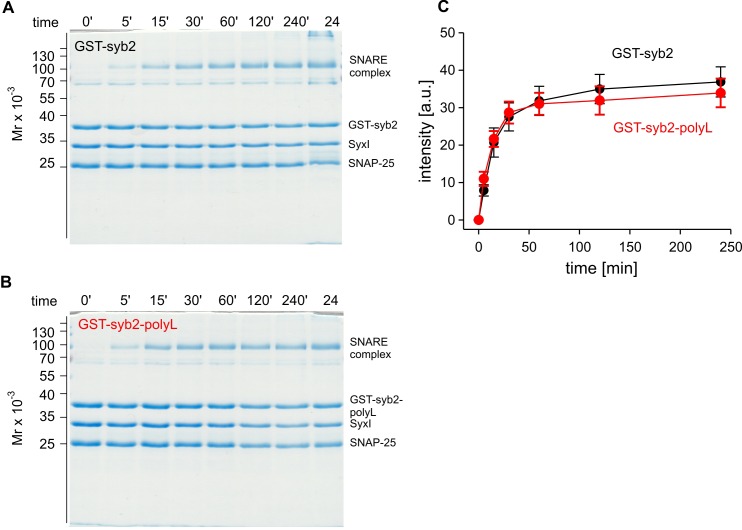 Figure 1—figure supplement 1.