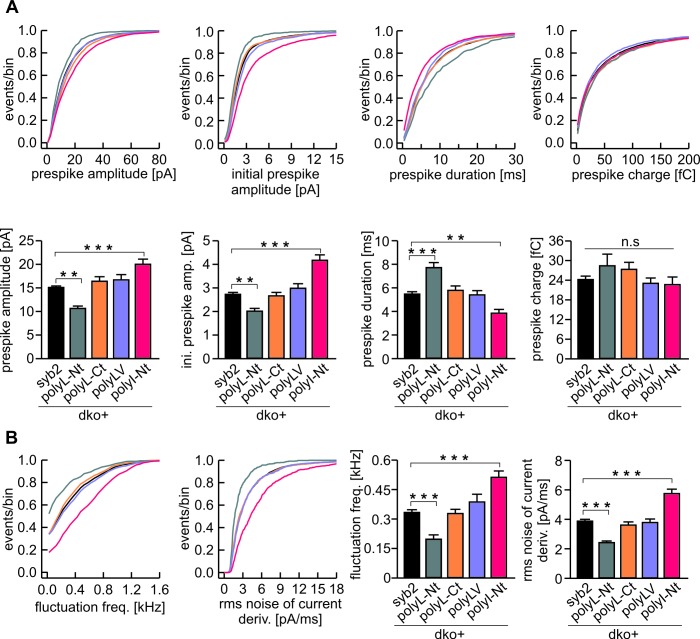 Figure 5—figure supplement 2.