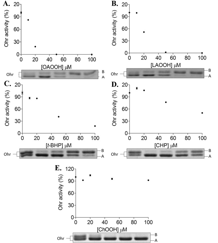 Fig. S4.