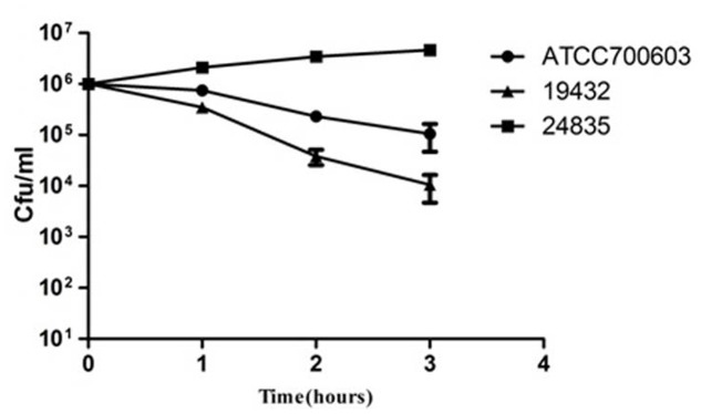 FIGURE 3