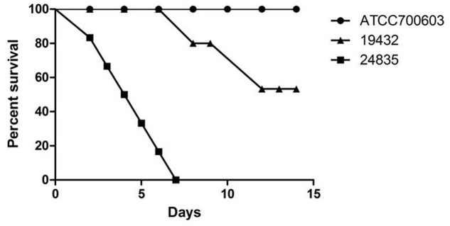 FIGURE 4