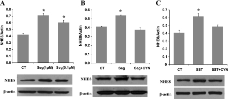 Fig. 6.