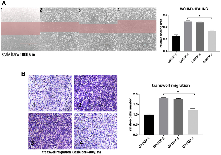 Figure 6