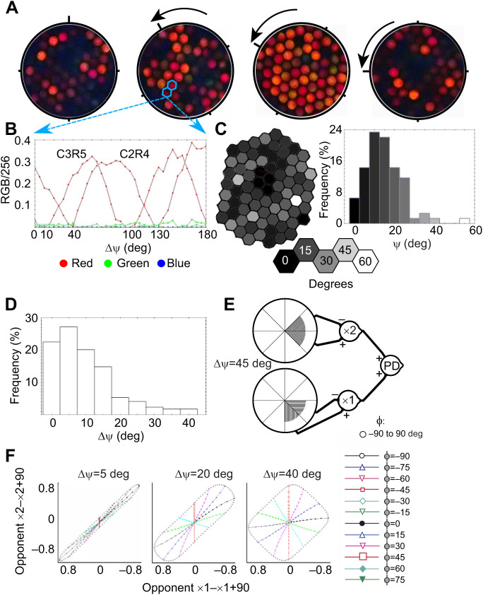 Fig. 3.