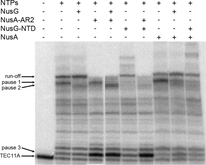 Figure 5.