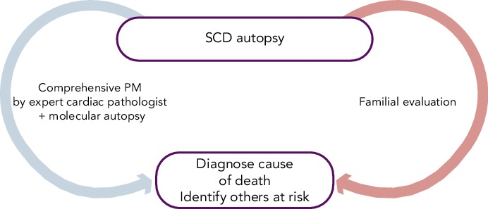 Figure 5: