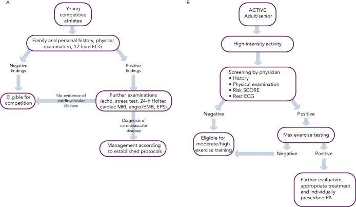 Figure 3: