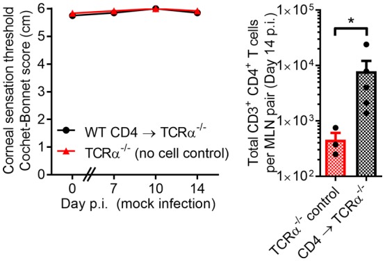 Figure 3—figure supplement 3.