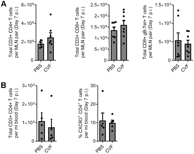 Figure 5—figure supplement 2.