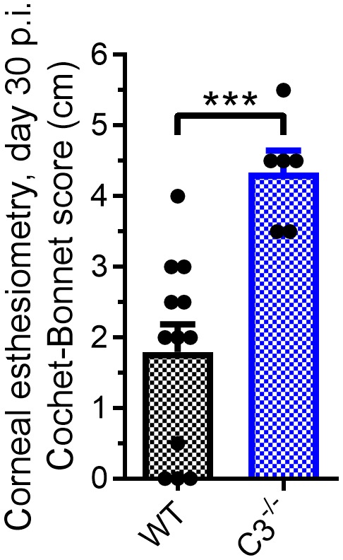 Figure 1—figure supplement 1.