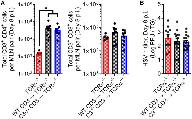 Figure 2—figure supplement 1.