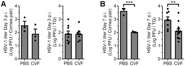 Figure 5—figure supplement 1.