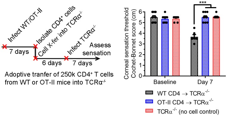 Figure 3—figure supplement 2.