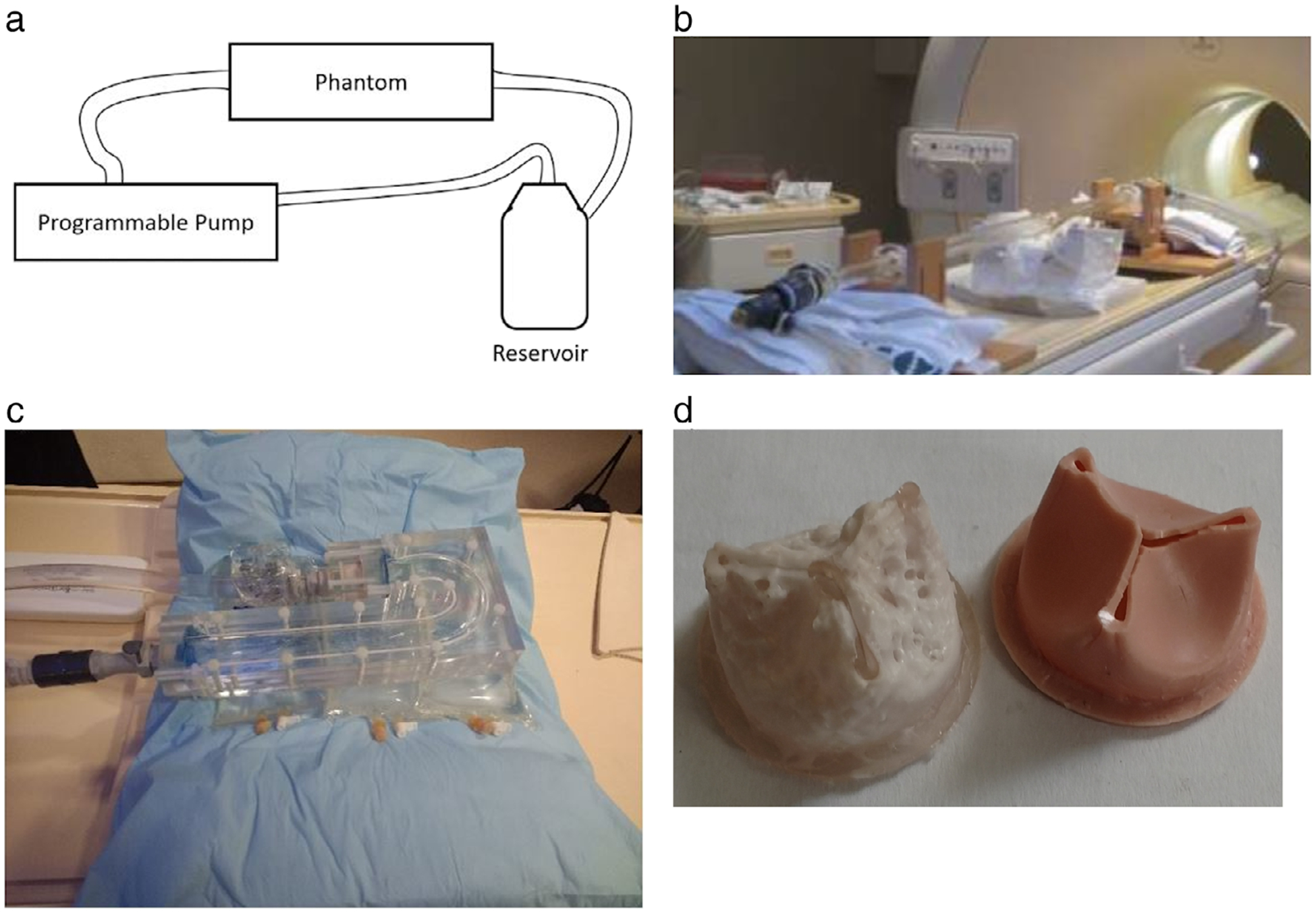 FIGURE 2: