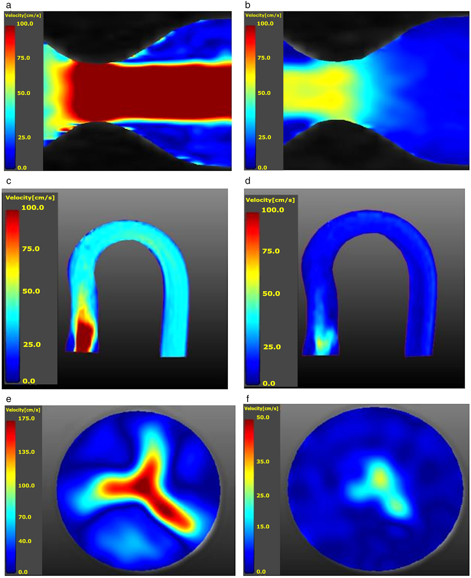 FIGURE 3: