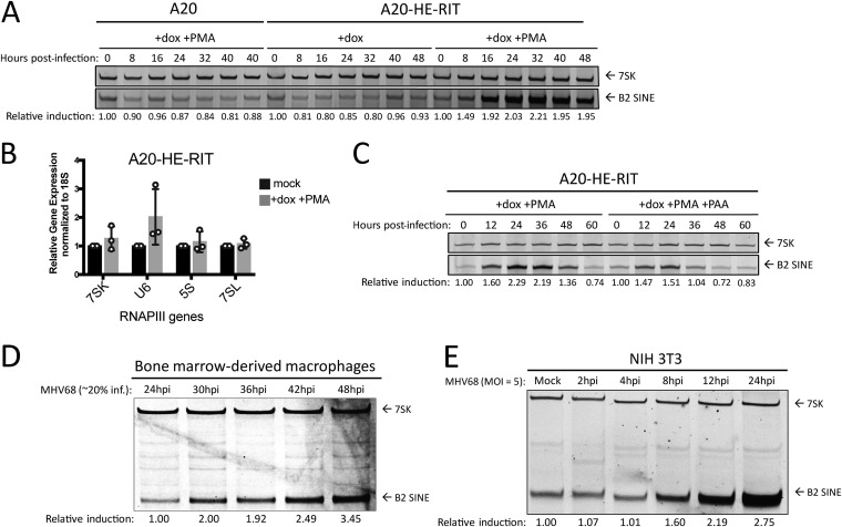 FIG 1