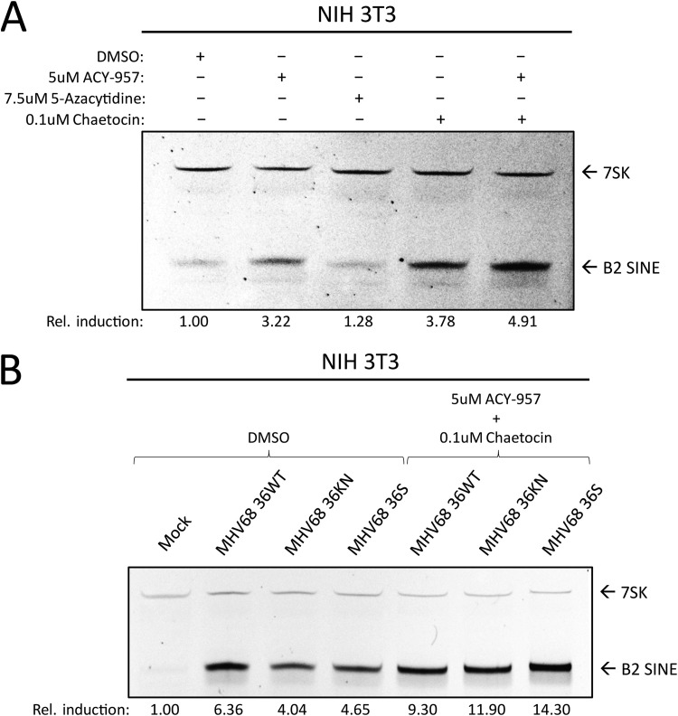 FIG 7