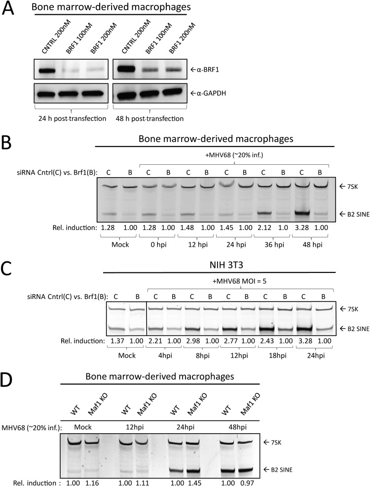 FIG 3