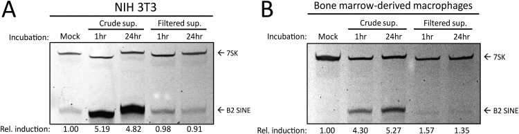 FIG 2