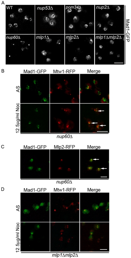 Figure 5.