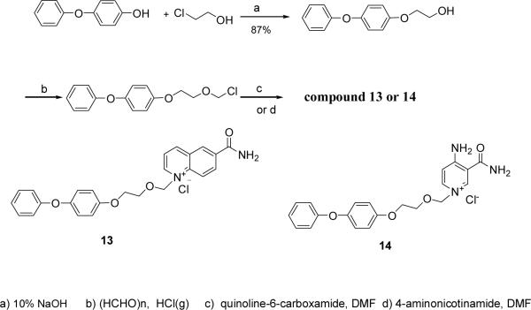 Scheme 5