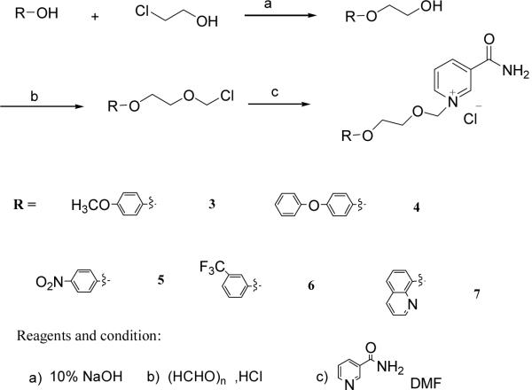 Scheme 2