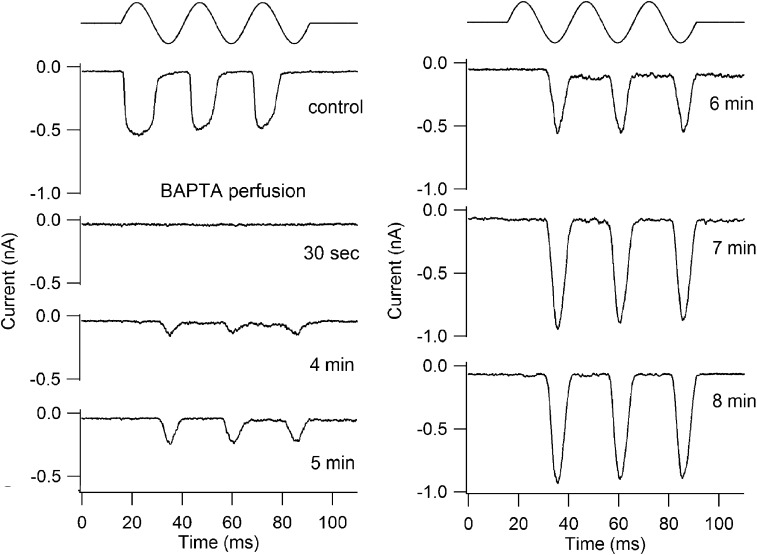 Figure 7.