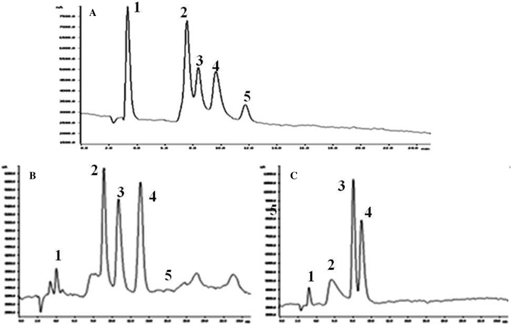 Fig. 4