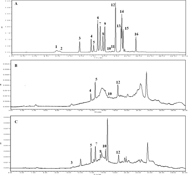 Fig. 3