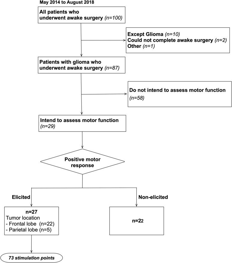 FIGURE 1